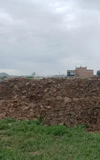 کود حیوانی