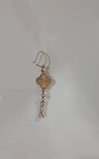 گوشواره گم شده