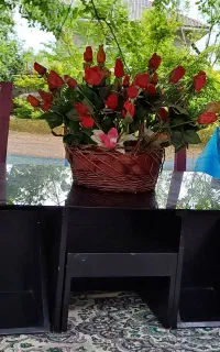 میز جلو مبلی