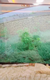 امنیت اماکن