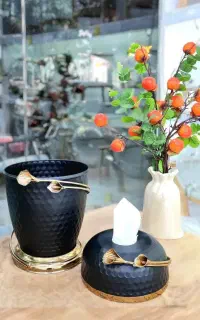 جادستمالی و سطل لوکس پذیرایی