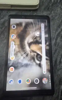 تبلت لنووا