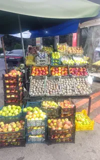 نیروی کار برای میوه تره بار