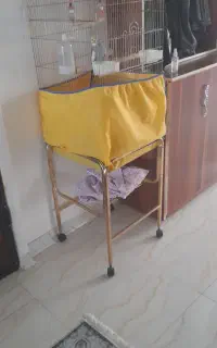 قفس