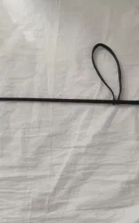 شلاق سوارکاری