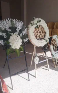 اجاره صندلی قابلمه تاج گل