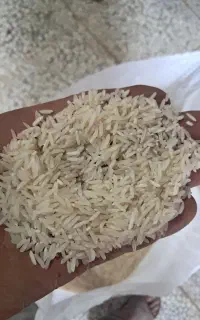 برنج ندا