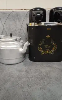 فلاکس دوقلو وکتری