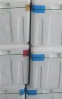 کاچو برای فروش