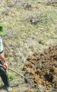 کارگر روزمزد