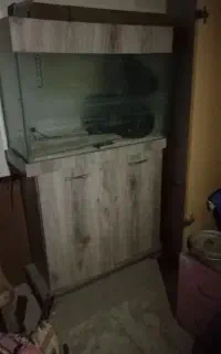 اکواریوم
