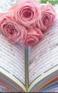 دعانویس مشکل گشا مهر محبت
