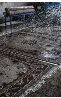 قالیشویی ومبل شویی پاکان