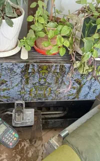 بخاری و گاز