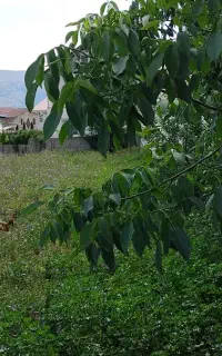 متقاضی کارگر بلوک زنی