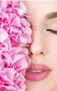 اجاره تمامی لاینها زیبایی