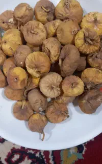 انجیر