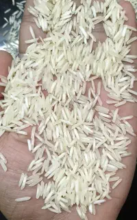استخدام نیروی حسابداری تمام وقت