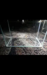 اکواریم
