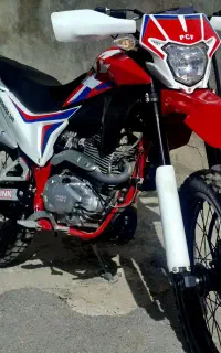 تریل برمودا 250
