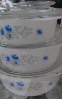 قابلمه ارکوپال گل ابی سالم خشک