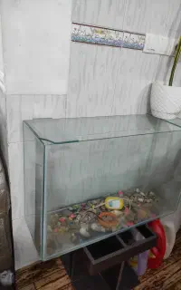 آکواریوم