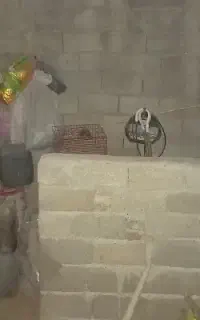 دو عدد قفس پرنده