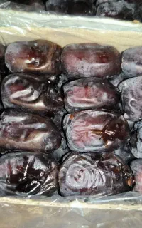 فروش استثنایی خرما