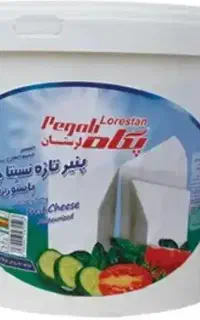 سطل ۱۰ کیلویی