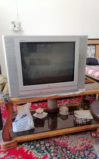 تلویزیون