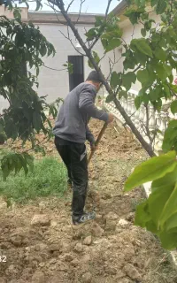 سم پاشی و باغبانی به صورت ۱۰۰ درصد تضمینی