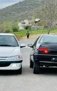 بکارگیری راننده به همراه خودرو شخصی