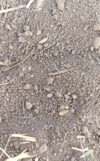 فروش زمین ب مساحت یک هکتار و 6 هزار متر