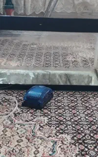 اکواریوم ماهی