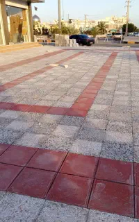 استاد کارم اهل افغانستان