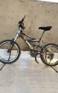 دو چرخه