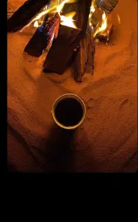 فال قهوه و تاروت با قیمت مناسب و واقعی