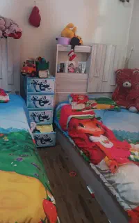 دو عدد  تخت تک نفره