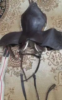 تعدادی زین و کلگی  چرم درجه یک دهنه