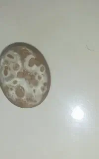 سنگ قیمتی
