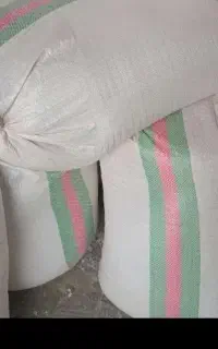 آکوته