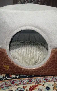 مخصوص سگ و گربه