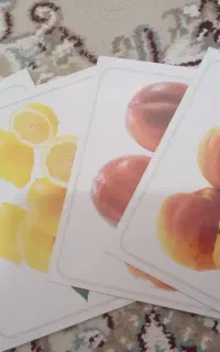 کارتهای دیدی آموز میوه و حیوانات