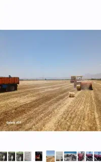 خریدار یونجه و کلش