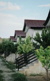نیروی کار با سابقه