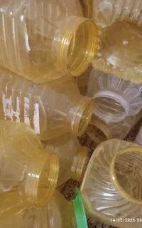 تعدادی  دبه سر پکنبکی