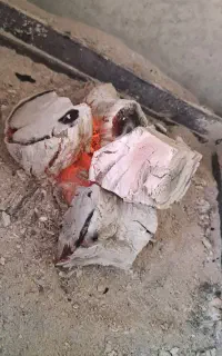 زغال انگور  زغال  قلیان