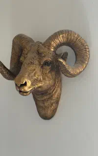 دکوری کله گوزن