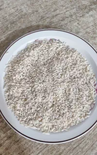 برنج ایرانی محلی
