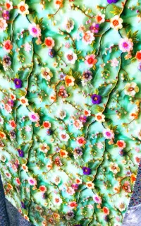 پارچه نخی ۵ بعدی فقط عمده